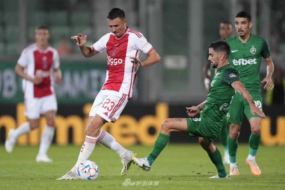 多样性和复 多样性和复